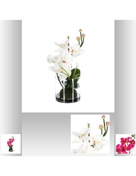 Composition orchid e vase  L. 19 x P. 19 x H. 33,3 cm