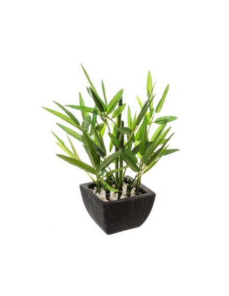 Bambou pot L. 22 x P. 22 x H. 27,5 cm