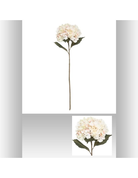 Tige hortensia 