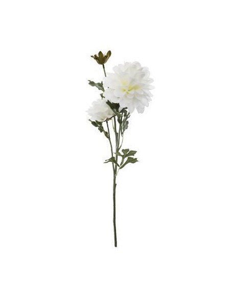 Tige dahlia 3 fleurs h62
