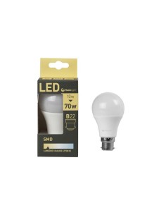 Ampoule led a60 b22 10w