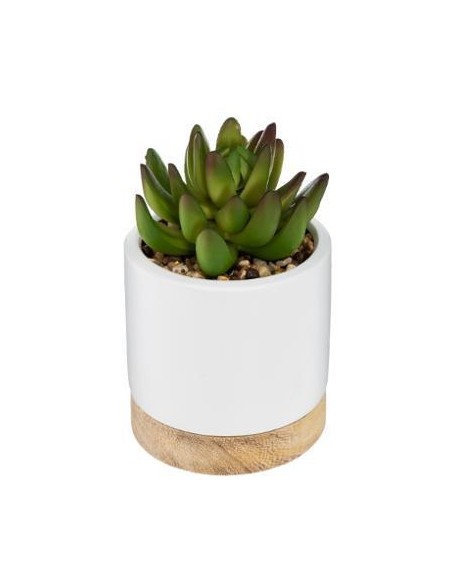 Succulente crmq bois h12 D. 9 x H. 12 cm