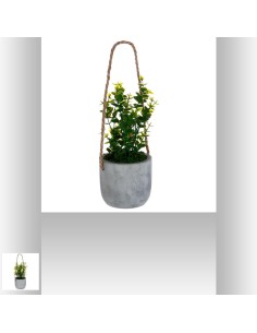 Plante a sus pot ciment h25 D. 13 x H. 24,5 cm