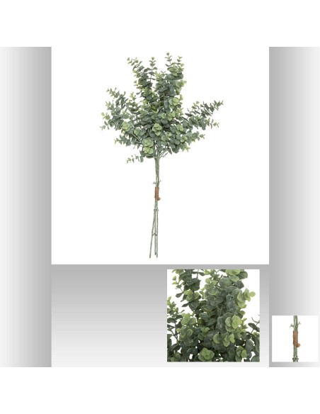 Bouquet eucalyptus 