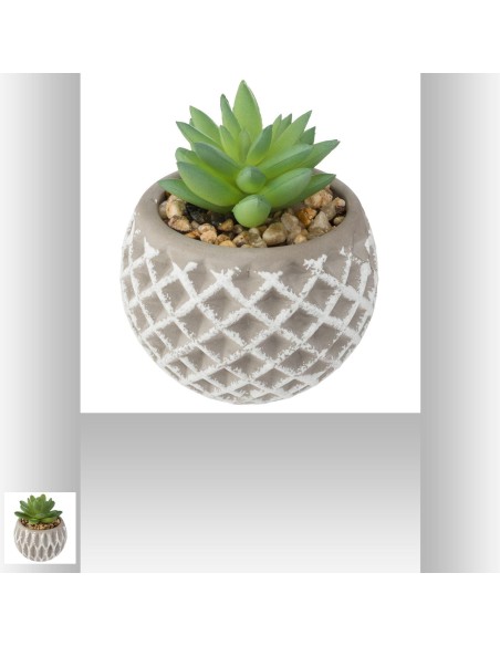 Succulente pot ciment D. 8 x H. 9 cm