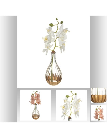 Vase orchid e edi 