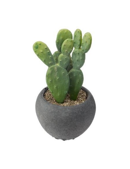 Cactus mix pot  D. 6,3 x H. 11,5 cm