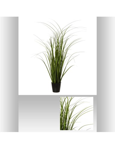 Bunch herbe pot plast h58