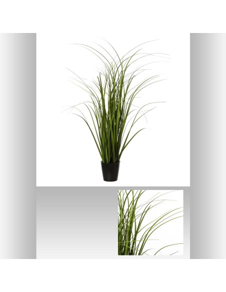 Bunch herbe pot plast h58