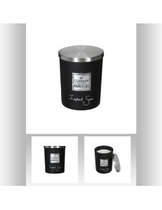 Bougie pfm ins su loyd 490g gm