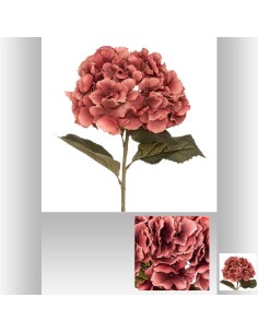 Tige hortensia prune gypsy h83
