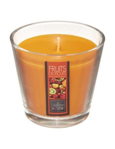 Bougie parfumee vr exo nina 190g