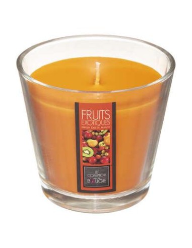 Bougie parfumee vr exo nina 190g