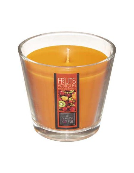 Bougie parfumee vr exo nina 190g