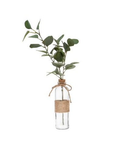 Vase eucalyptus corde