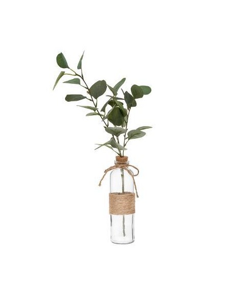 Vase eucalyptus corde