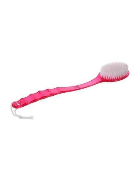 Brosse dos plastique