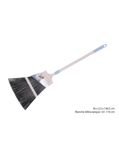 Balai exterieur plast bicolore grege ble