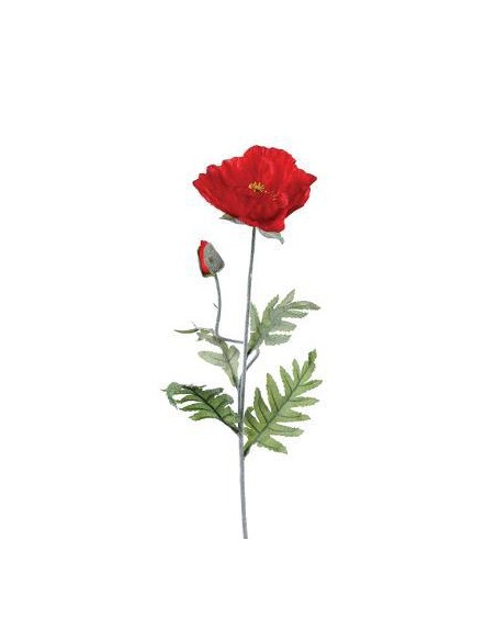 Tige coquelicot 