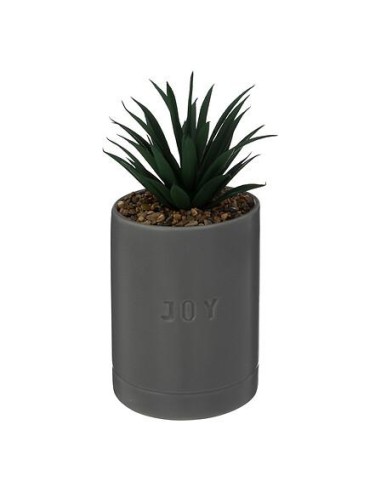 196732a - plante g pot crmq avi gris h20
