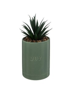 196732b - plante g pot crmq avi jade h20