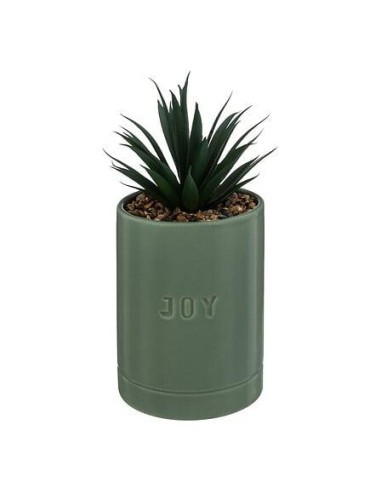 196732b - plante g pot crmq avi jade h20