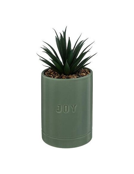 196732b - plante g pot crmq avi jade h20