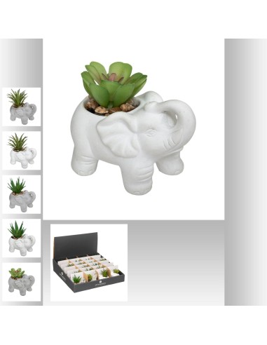 181499 - plante pot elepha amio h10 dis
