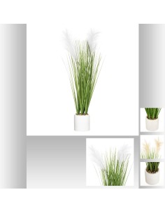 181500 - plumeau pot cim spalvu ass h70