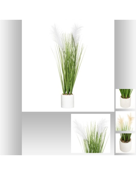 181500 - plumeau pot cim spalvu ass h70