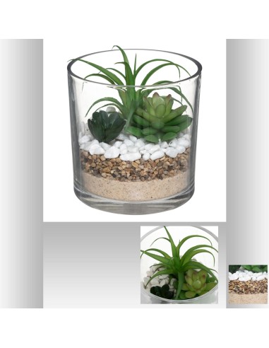 181502 - terrarium plante vr yora h15
