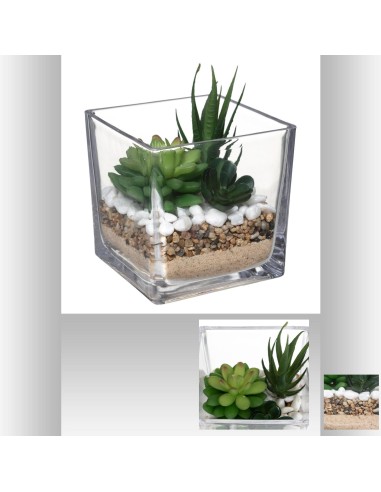 181504 - terrarium plante vr tio h29,5