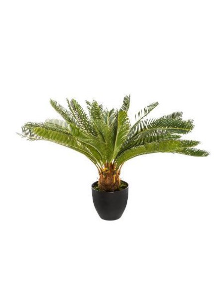 164252 - plante ananas anani h72 D. 86 x H. 67,6 cm