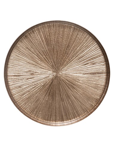 154896b-ass plate astra champ d28