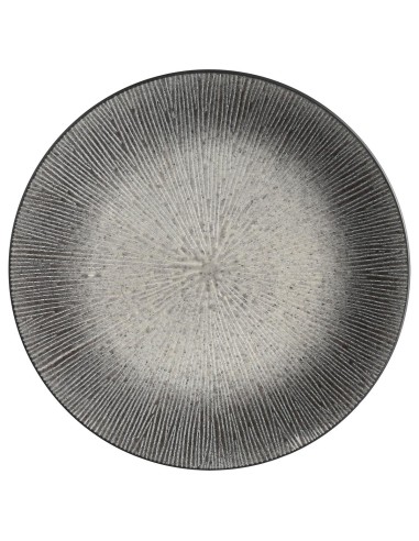 103739436 - ass plate atelier gris d27