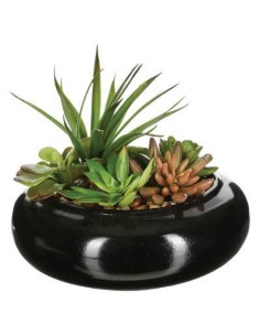 150752181 - plante g pot crmq nio nr h20