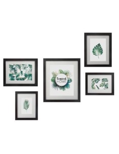 set 5 cadres noir tropical