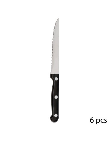 100210 - couteau a steak 6p abs