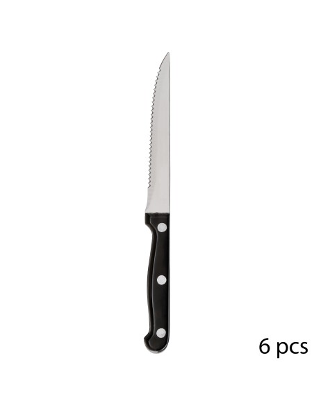 100210 - couteau a steak 6p abs