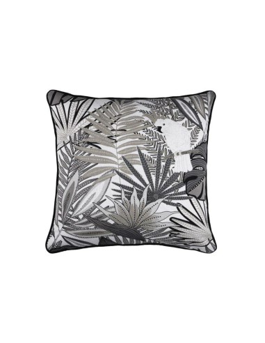 c1b446003-cacatoes / aveyron cous 50x50 gris