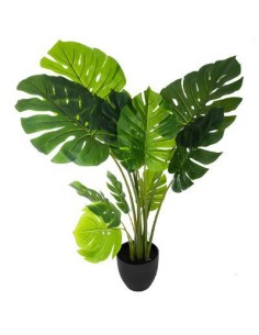 160037 - philo monstera deliciosa h110 L. 84 x P. 79 x H. 110 cm
