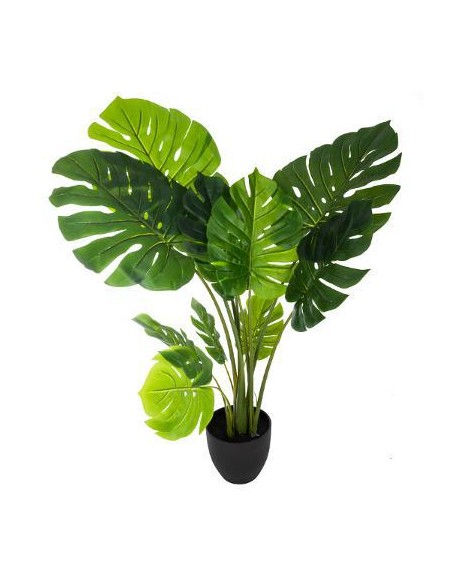 160037 - philo monstera deliciosa h110 L. 84 x P. 79 x H. 110 cm