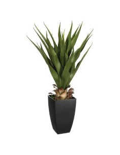103165 - agave pot pl neema h73 L. 56 x P. 54 x H. 71 cm