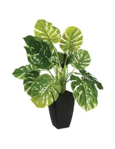 103166 - monstera pot pl kira h70 L. 67 x P. 55 x H. 70 cm