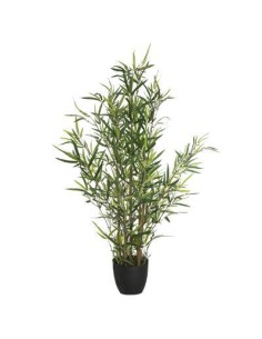 164256 - bambou pot pl yumi h90 L. 63 x P. 55 x H. 90 cm