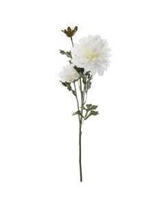 164262 - tige dahlia ilys blc h62