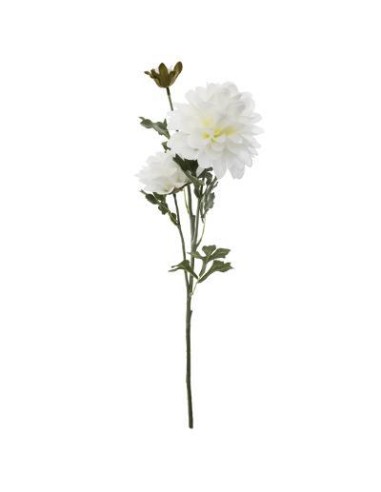 164262 - tige dahlia ilys blc h62