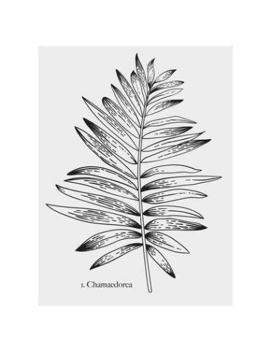 sticker illu 30x40 vegetal