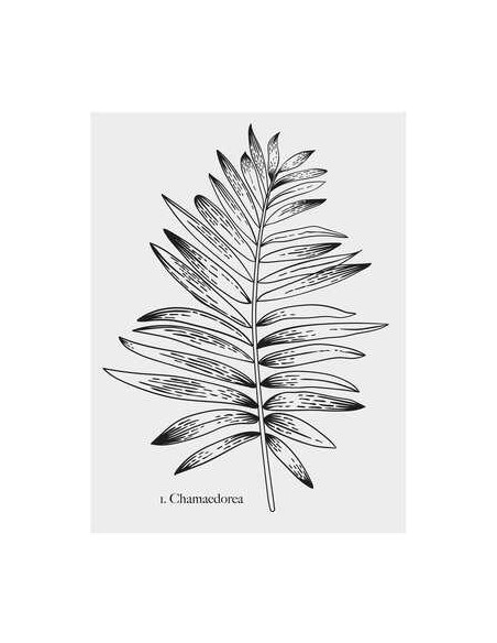 sticker illu 30x40 vegetal