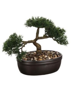 103379 - bonsai pot crmq baki nr h23 L. 32 x P. 16 x H. 23 cm